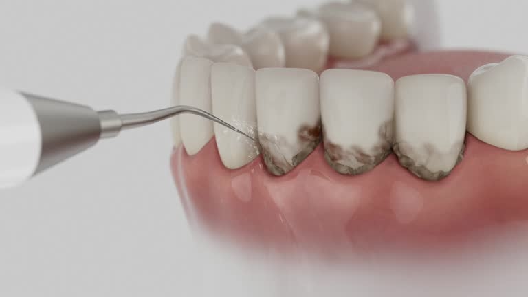 Reliable Dental contractor in Hopewell, VA by Dentist Open Now